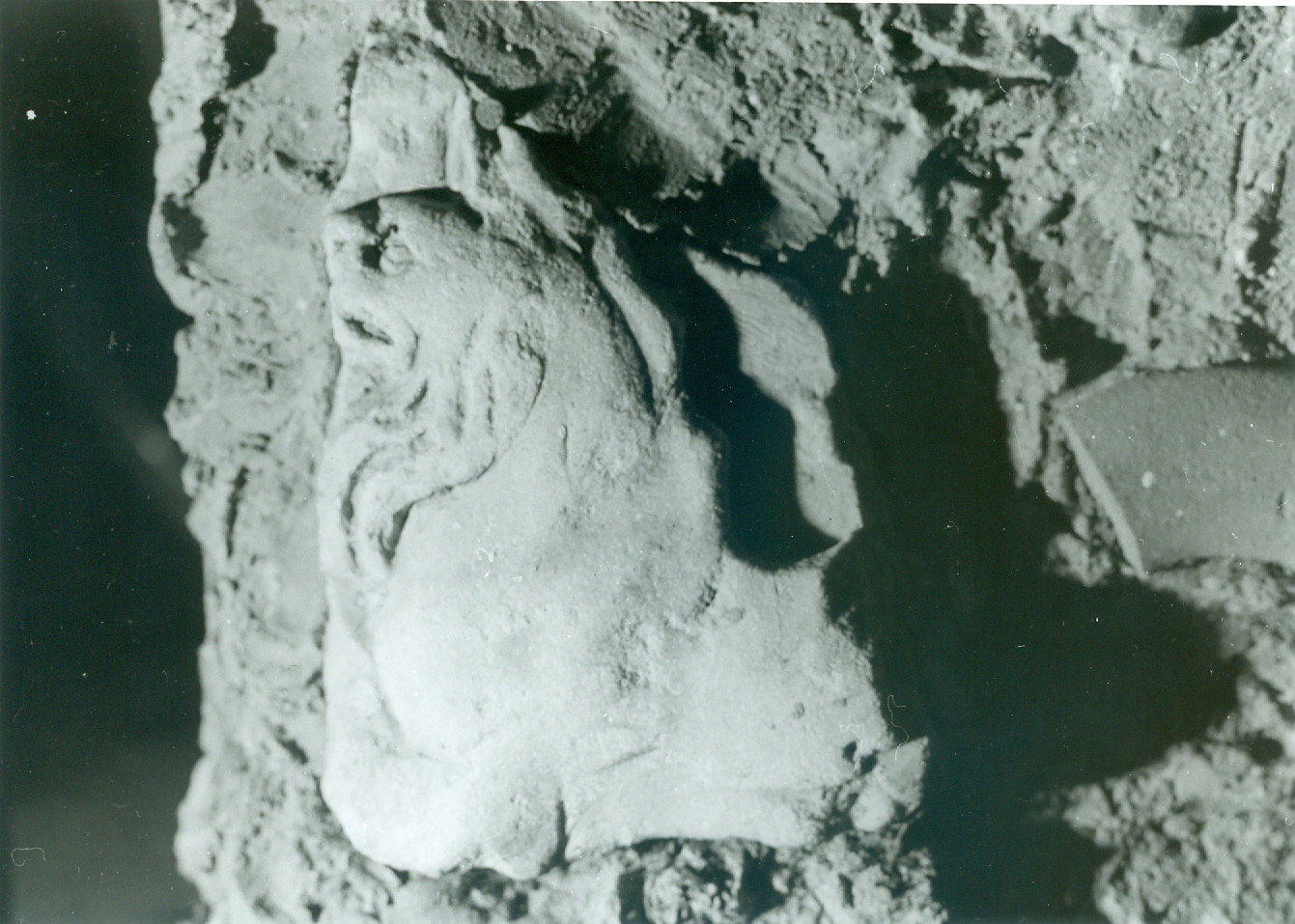 Grifo (sarcofago) (SECOLI/ ARCHI DI SECOLI/ II-III)